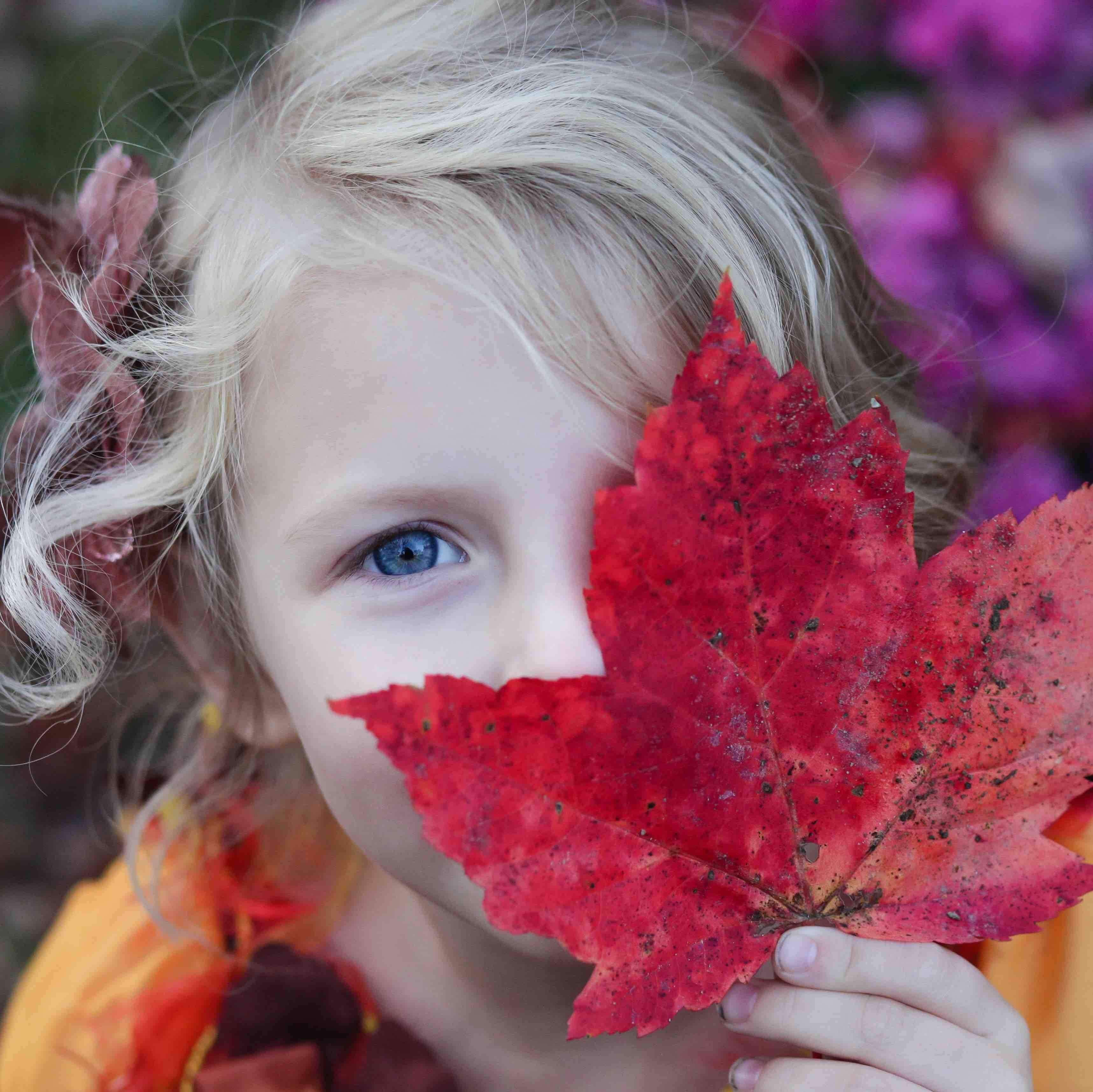 Bordspill når det lakker i mot høst, og det blåser i fra øst …-Mer Kvalitetstid-Kvalitetstid.no