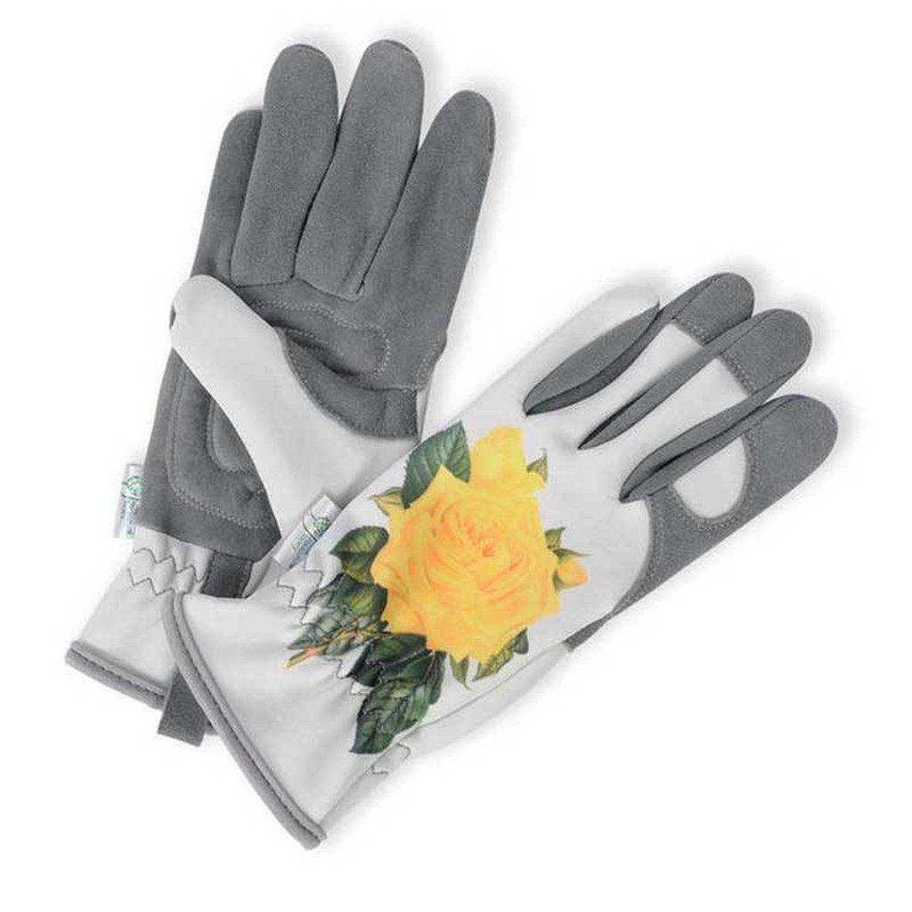 Gold Leaf | Hagehansker - Hampton Yellow Rose-Hagehansker-Gold Leaf-Kvalitetstid AS