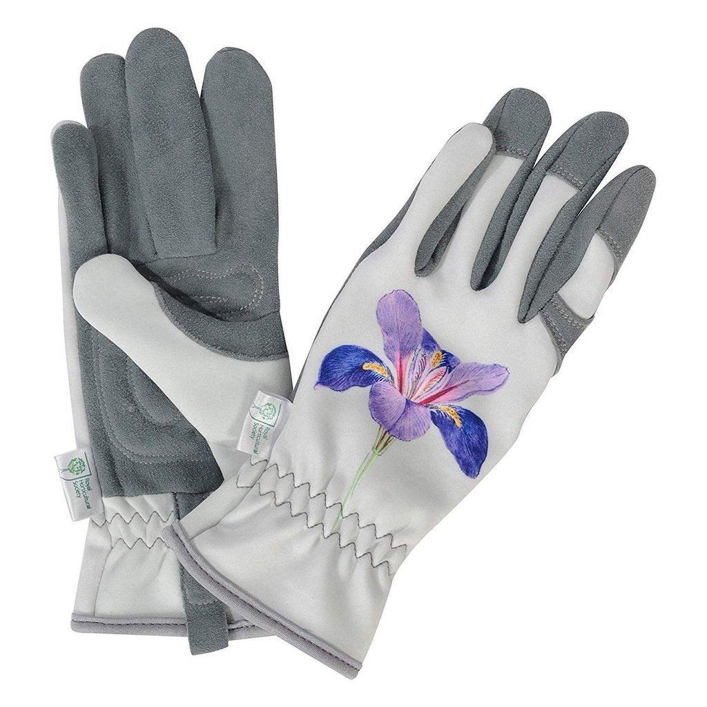 Gold Leaf | Hagehansker - Malvern Purple Iris-Hagehansker-Gold Leaf-Kvalitetstid AS