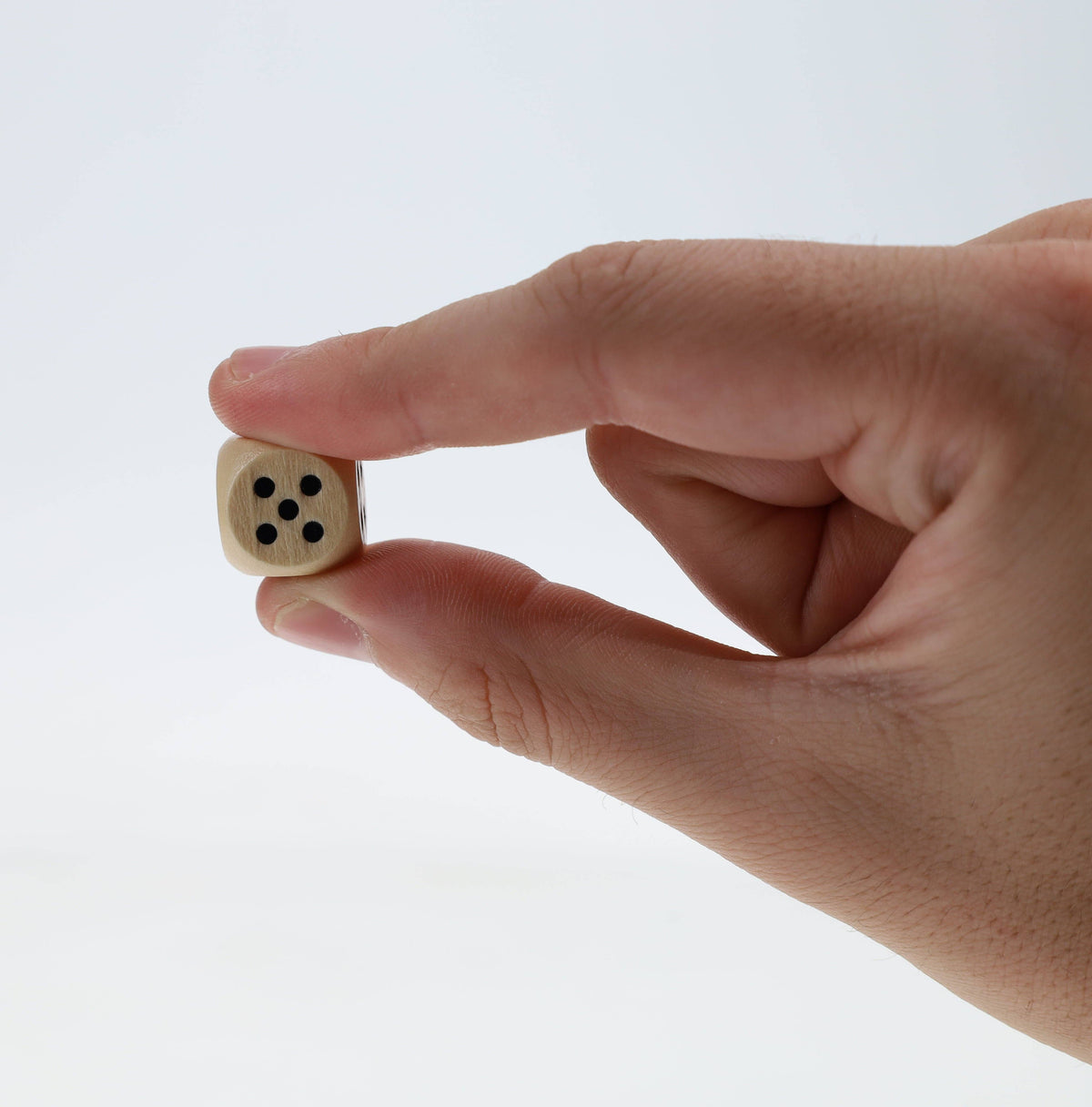 Cribbage reisesett med kort og terninger | WE Games