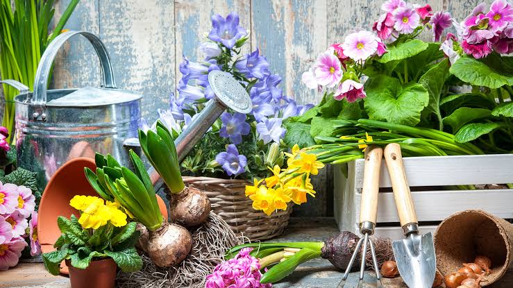 [product_title]-[image_position]