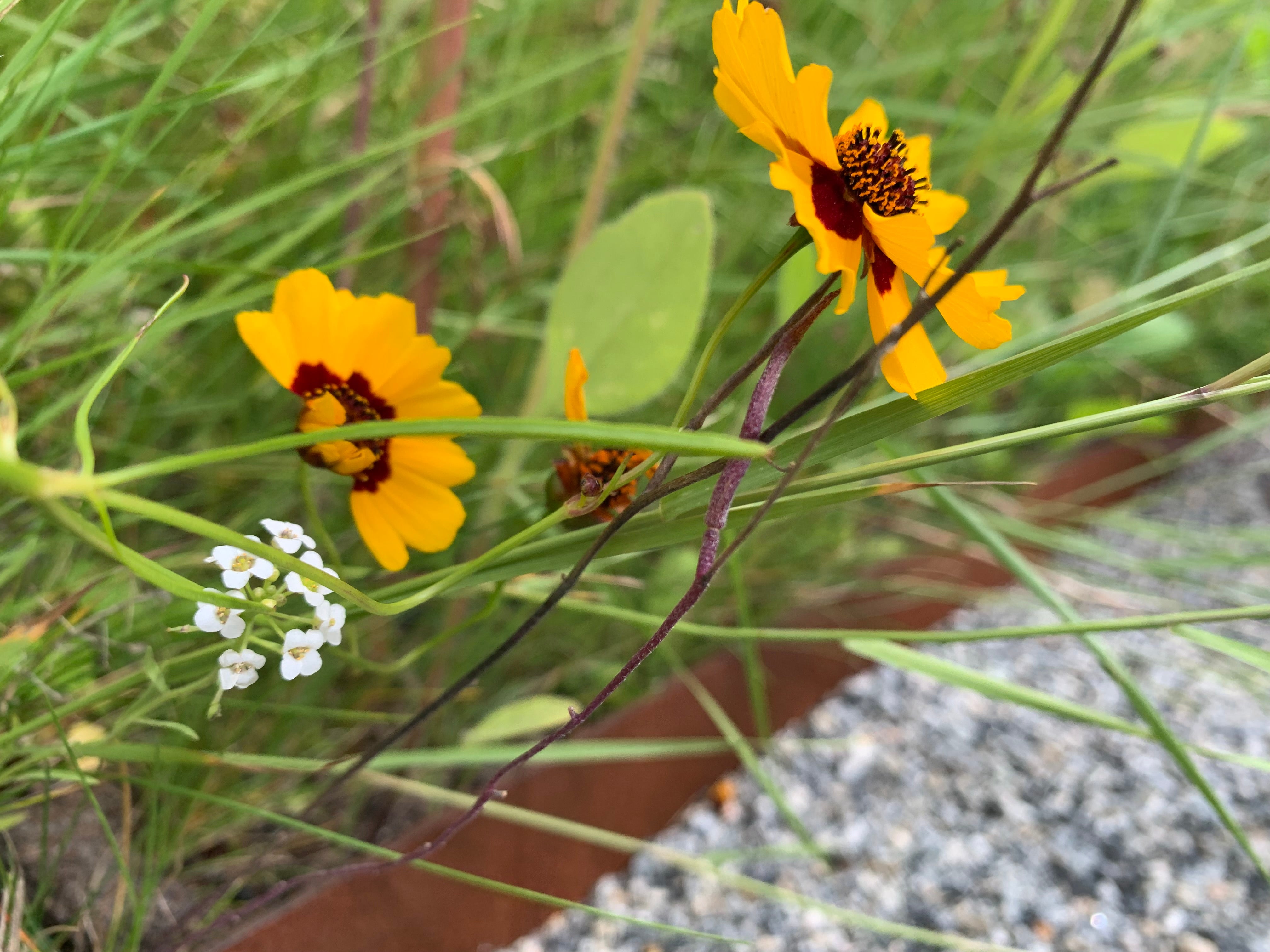 [product_title]-[image_position]