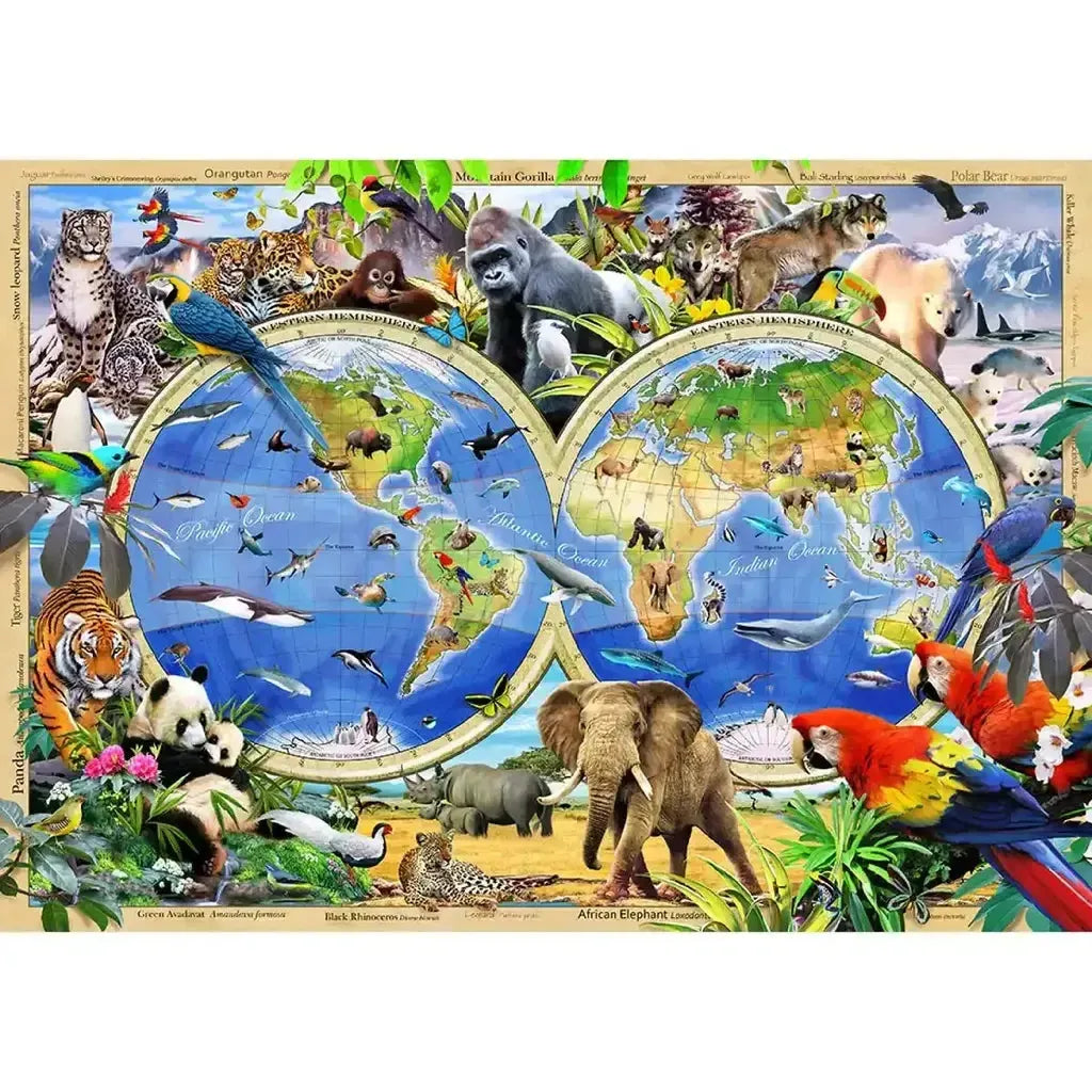 Animal Kingdom Kart Illustrert Læringskart For Barnerom-Wooden City-Kvalitetstid AS