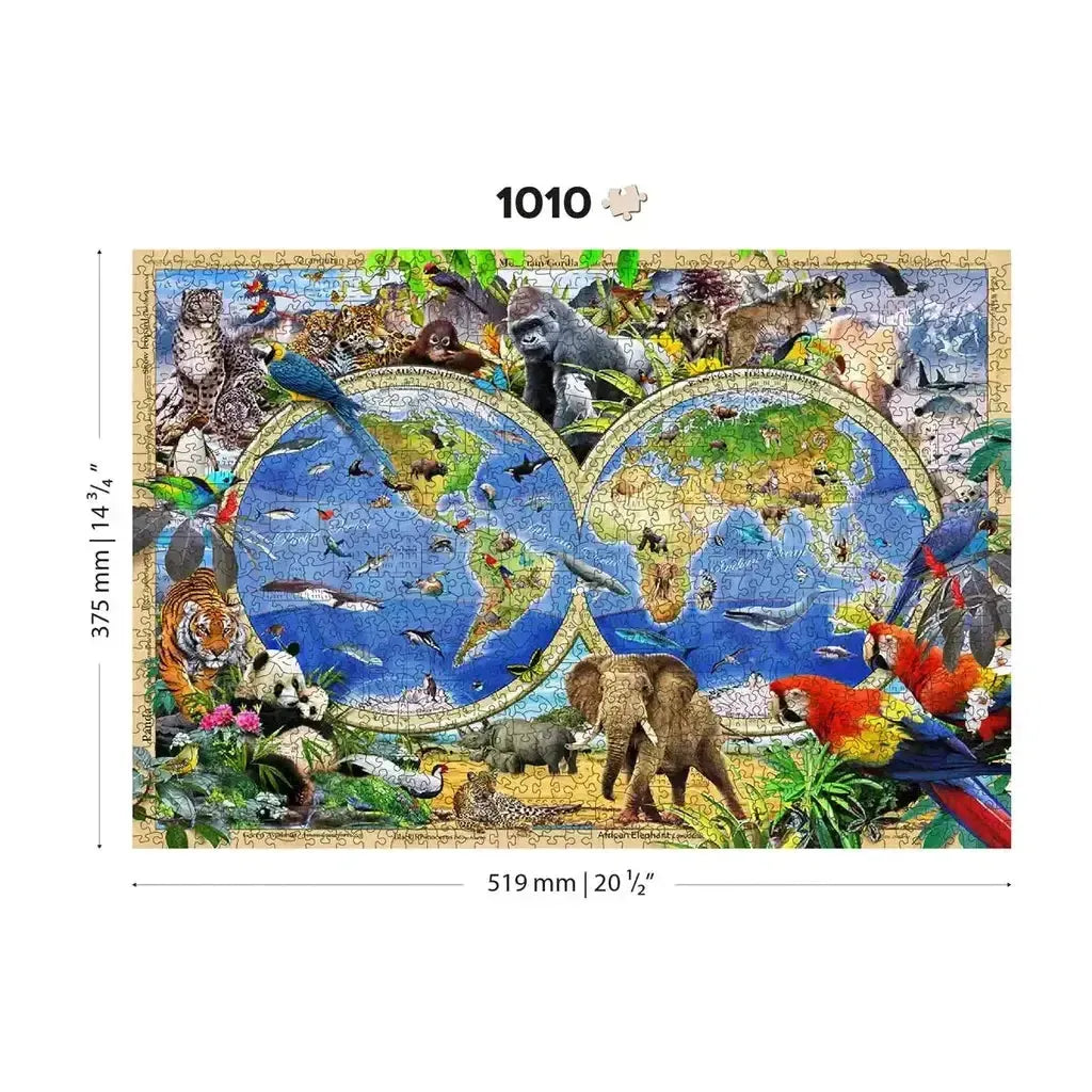 Animal Kingdom Kart Illustrert Læringskart For Barnerom-Wooden City-Kvalitetstid AS